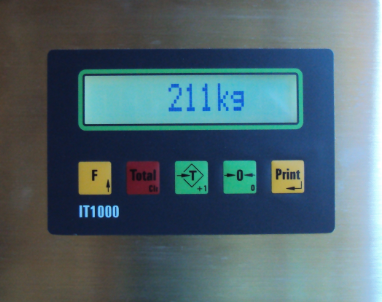 Systec IT1000 weighing terminal