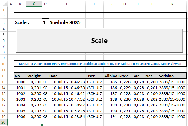 EXCEL scale interface